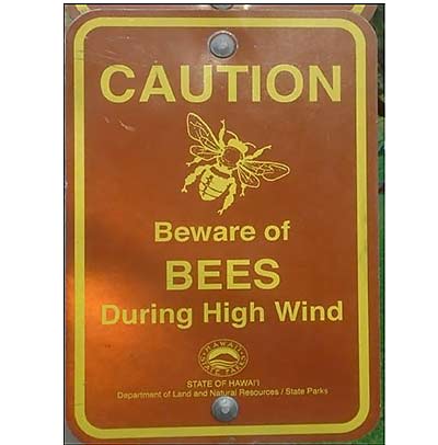 caution bees