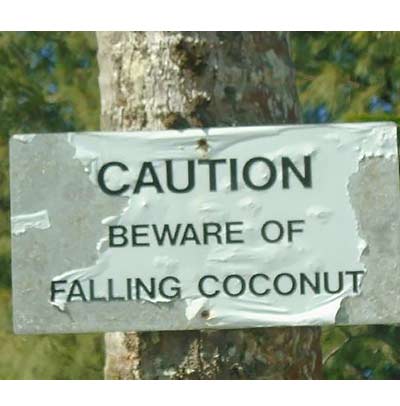 caution coconuts