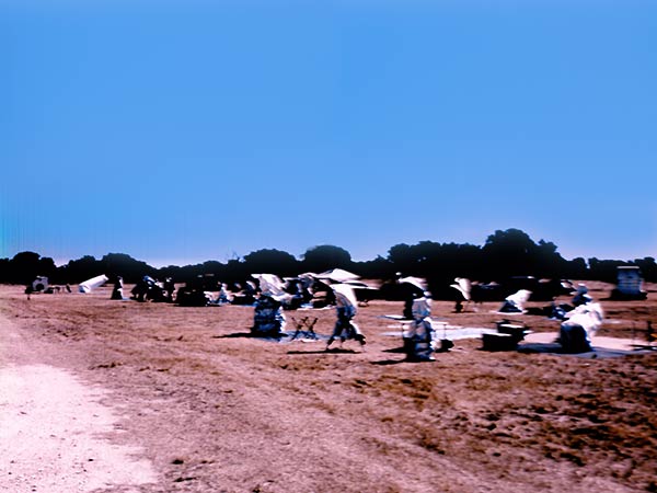 star party participants